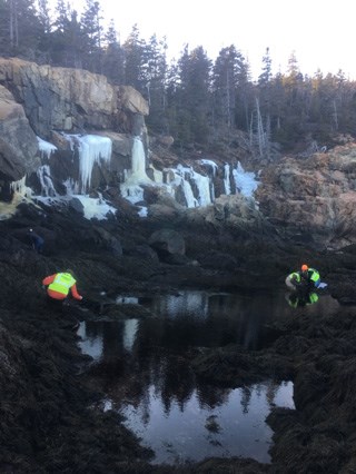 students in a tidepool with ice coating the rocks behind them