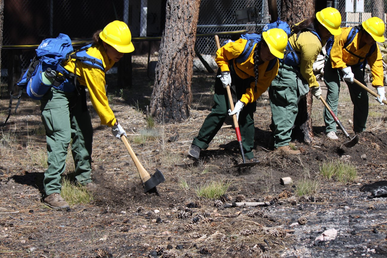Female firefighters use handtools to practice digging fireline
