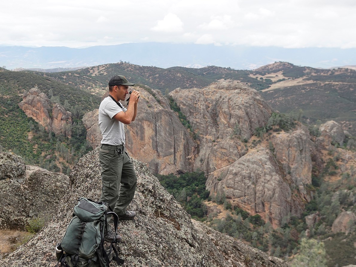 Biologist uses binoculars to observe a red-tailed hawk nest.