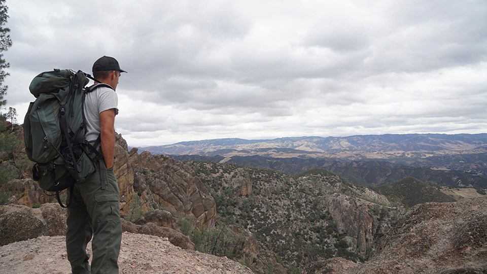 Biologist Gavin Emmons surveys the landscape of Pinnacles National Park.