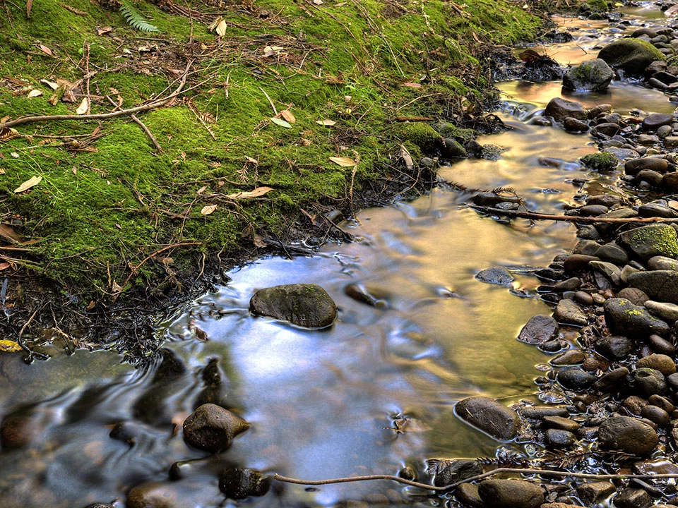 Water quality monitoring site Image of typical monitoring site, a rocky creek with flowing water.