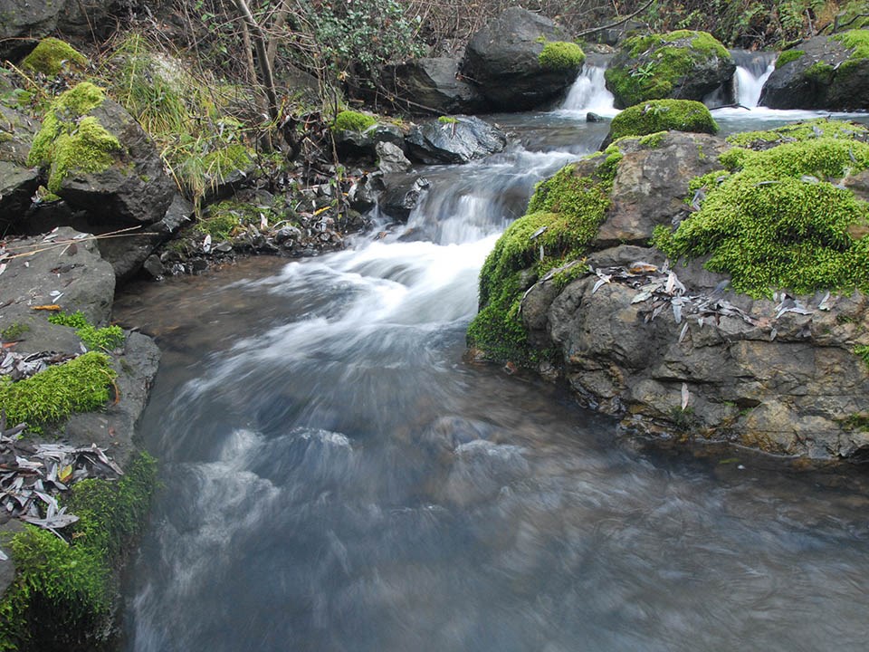 Brisk winter flows in Redwood Creek