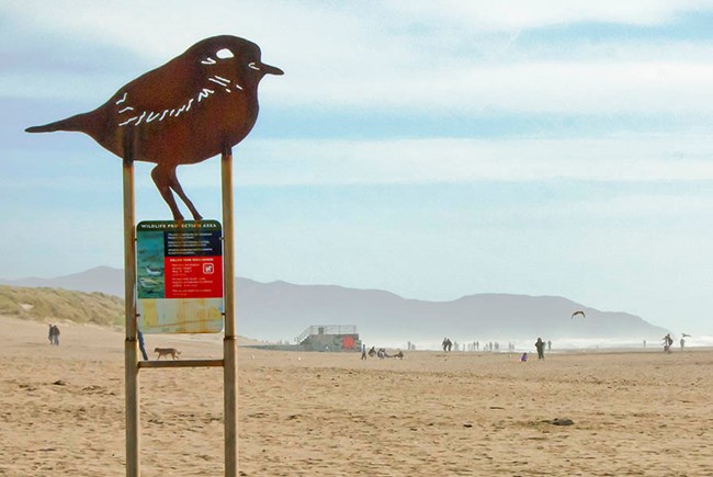 snowy plover sign A large sign marks the northern end of the Western Snowy Plover Protection Area on Ocean Beach.
