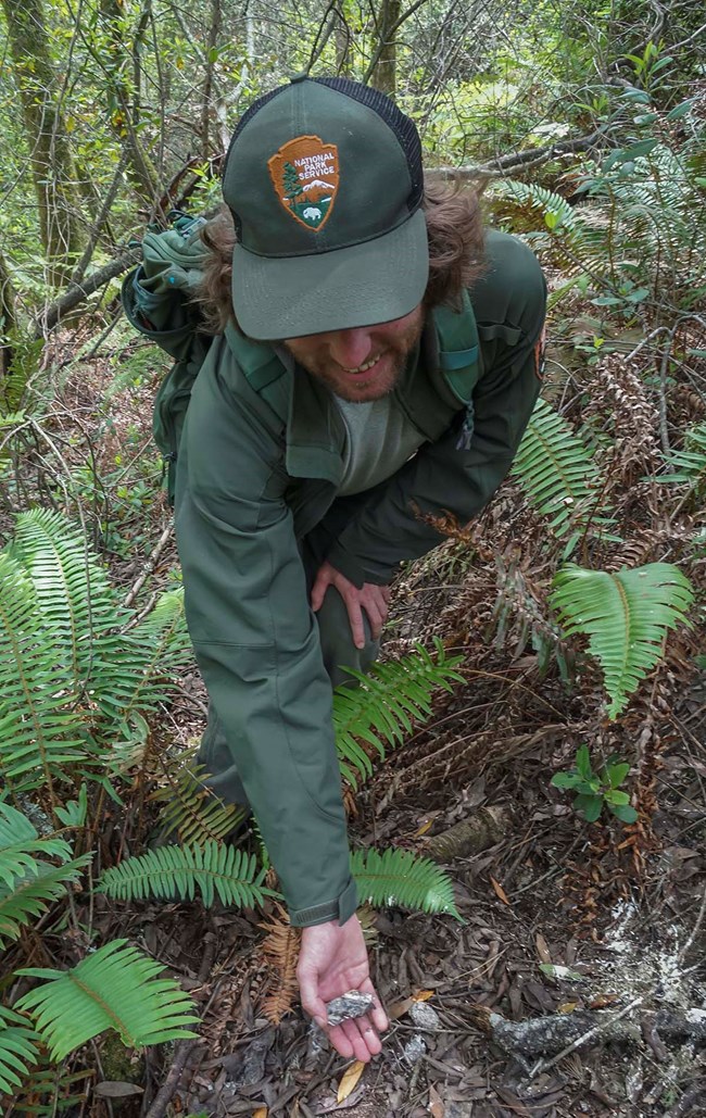 Wildlife technician Taylor Ellis points out owl pellets and droppings.