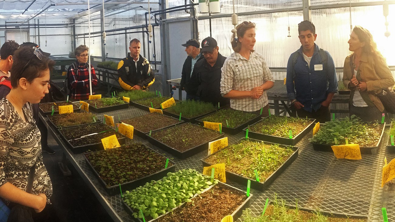 SOD7 Presidio nursery tour group Participants gather around a table covered in plants.
