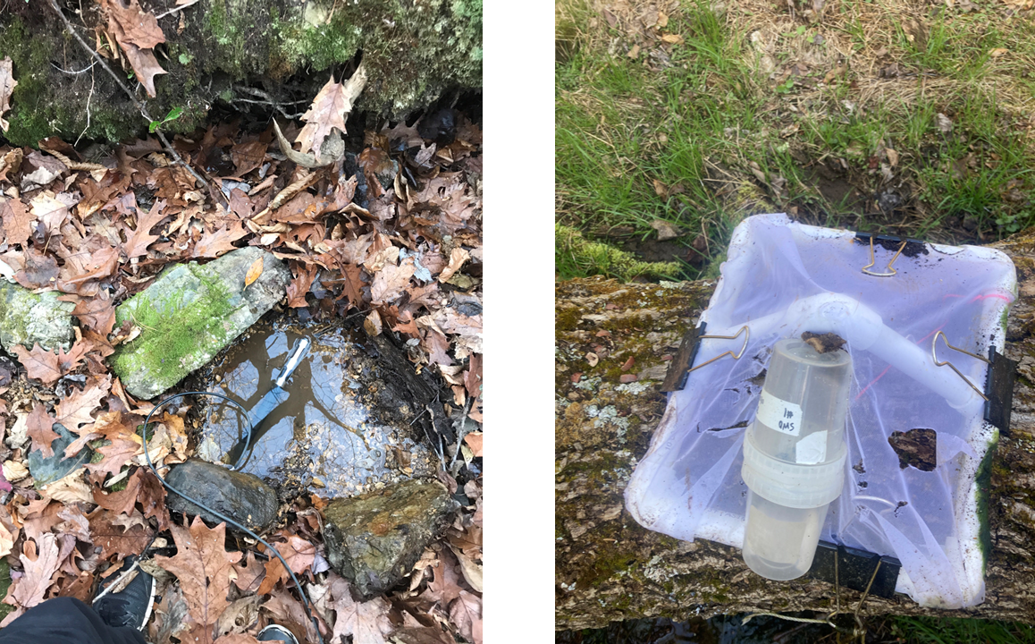 Studying springs A small spring with a probe submerged in the water (left). An emergence trap that consists of a square white net connected to a container filled with liquid (right).