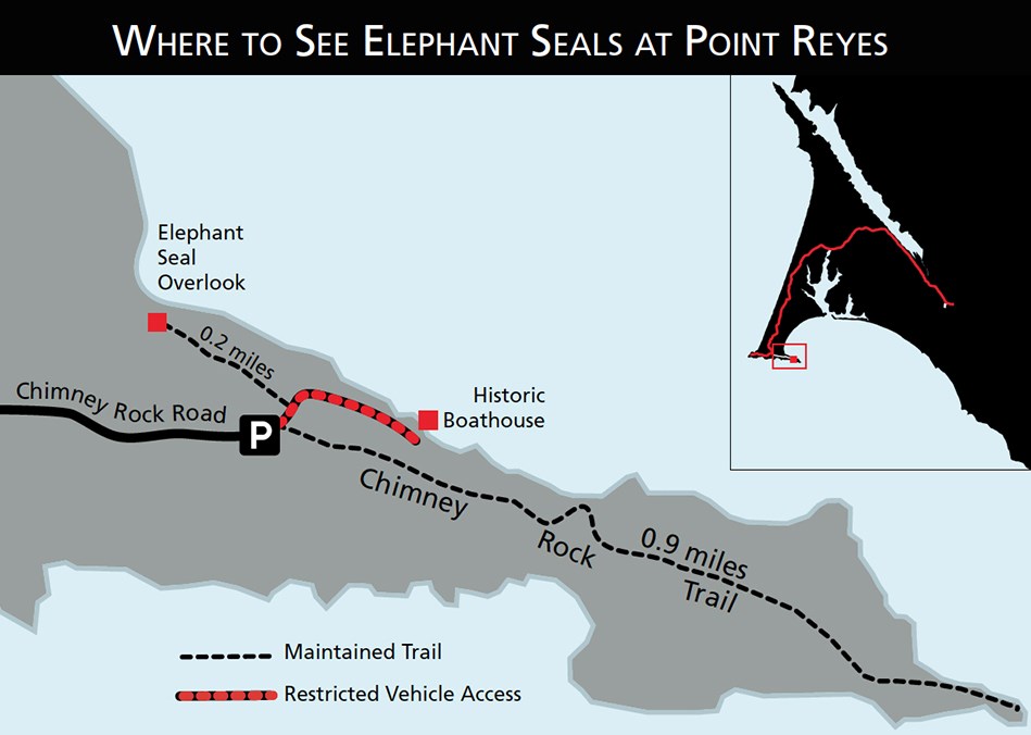 Map showing where to see elephant seals at Point Reyes: Chimney Rock, Elephant Seal Overlook.