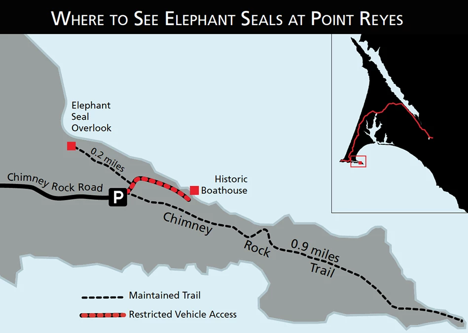 Where to see elephant seals at Point Reyes Map showing where to see elephant seals at Point Reyes: Chimney Rock, Elephant Seal Overlook.