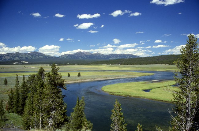 Yellowstone River in Hayden Valley, Yellowstone NP