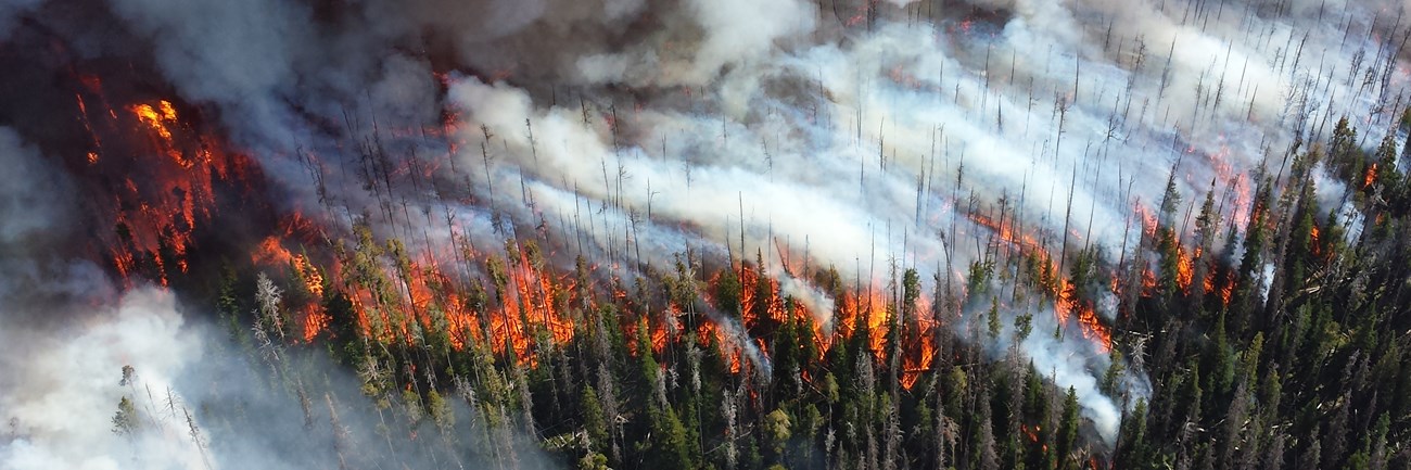 Aerial view of a forest fire burning trees with grey and white smoke