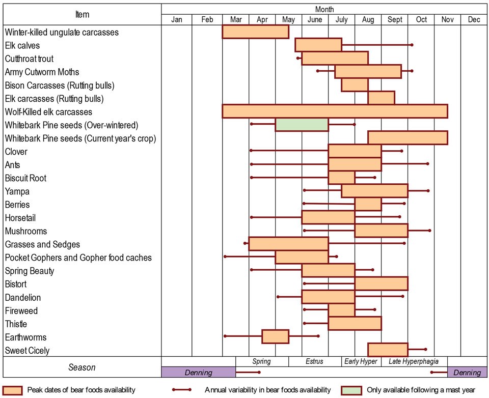 Chart of different food that bears eat over the course of a year.