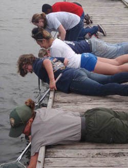 Students dipnetting in bay Students dipnetting in bay