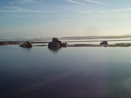 Overwash at the fish factory in the Virginia District