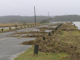 Debris on Beach Rd after the November 2009 northeaster. Virginia District, 39kb.