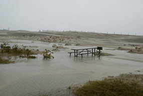 Oceanside Drive-in and Oceanside Walk-in campgrounds at Assateague Island National have experienced flooding due to a November northeaster.