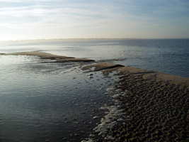 Overwash from the ocean to the bay, north of the fish factory ruins. Virginia District