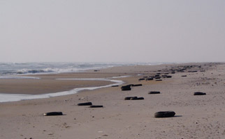 Old tires washed up on the beach after the November, 2009 northeaster. 33kb
