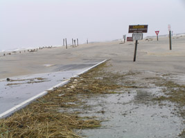 Traffic circle near parking lots #1 & 2. Virginia District, 37kb.