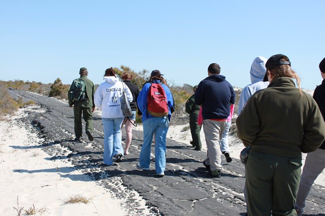 Students walk down the beach