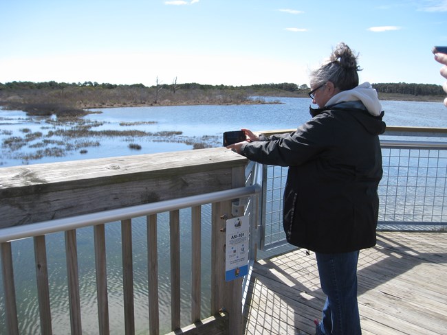 A Citizen Scientist on the Life of the Marsh Trail at Station 101