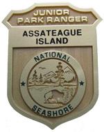 Be A Junior Ranger - Assateague Island National Seashore (U.S. National Park Service)