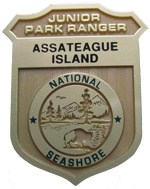 junior ranger badge