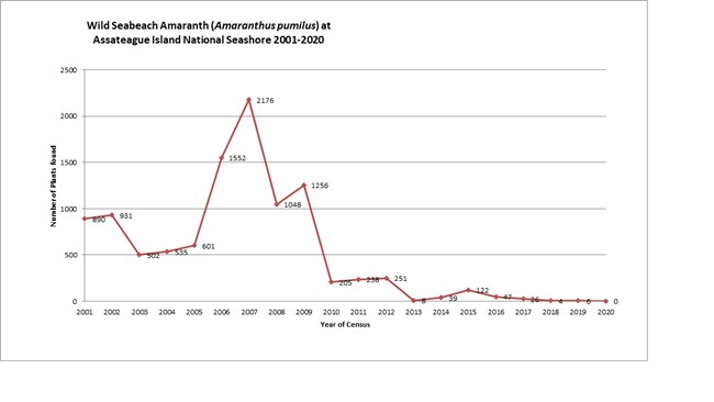 Seabeach Amaranth population on the Maryland portion of Assateague Island 2001-2020