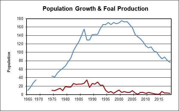 Graph showing horse population growth and foal births