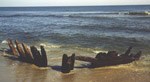 The receding beaches can sometimes reveal the remains of old shipwrecks, another reminder of Assateague’s sometimes treacherous and unpredictable weather. 20 kb