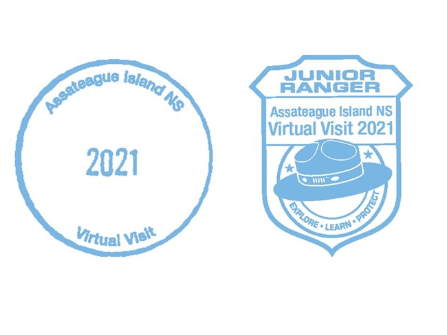 Assateague2021 Virtual Stamps