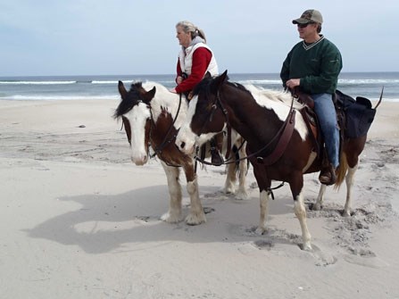 2 visitors riding horses on the beach in the Maryland district. 57kb