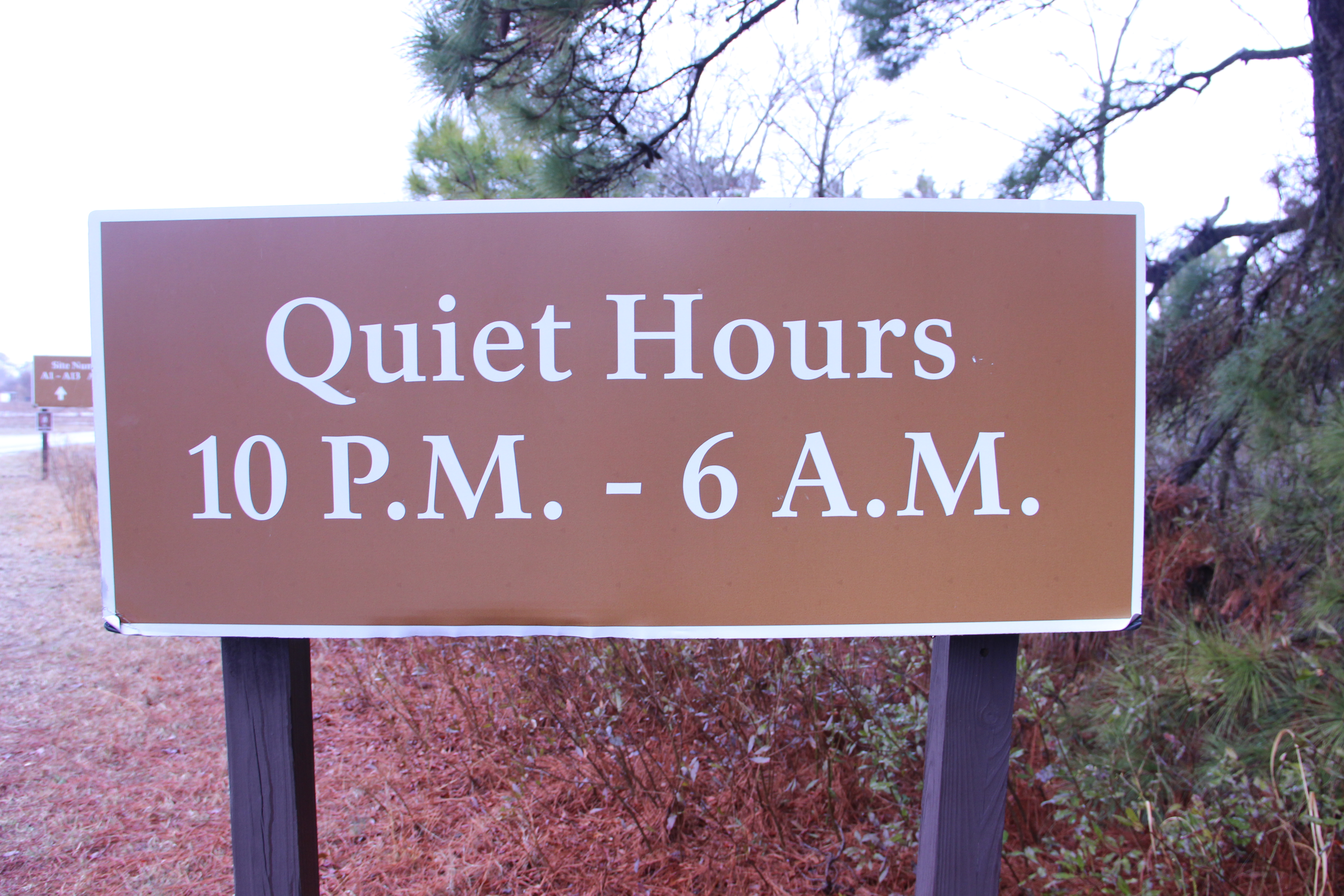 Bayside Assateague Campground — photo 2