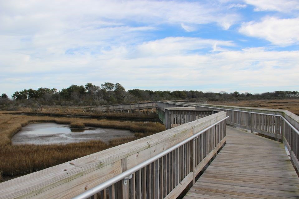 boardwalk trail over the salt marsh on the Life of the Marsh trail