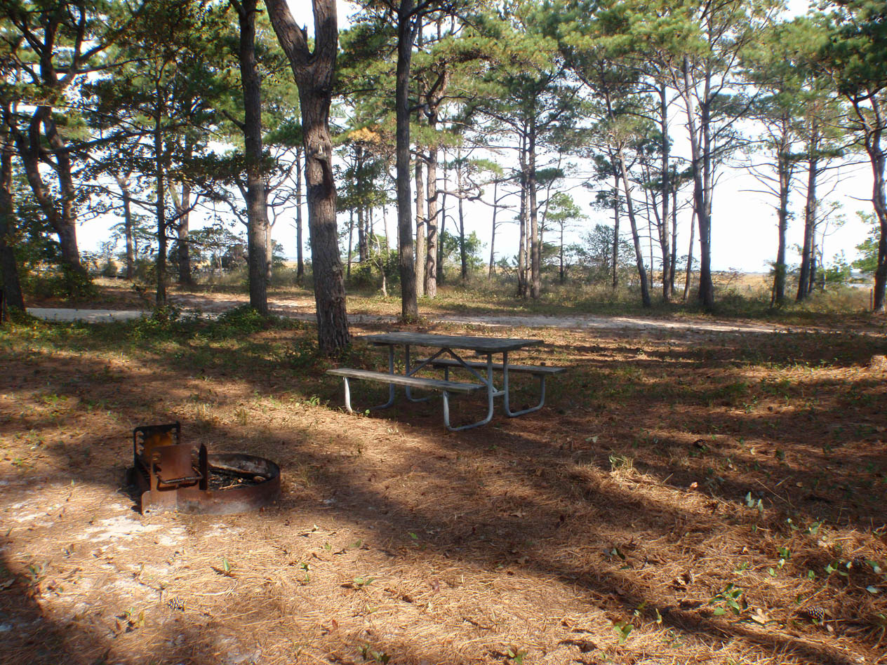 Backcountry Camping - Assateague Island National Seashore Us National Park ...