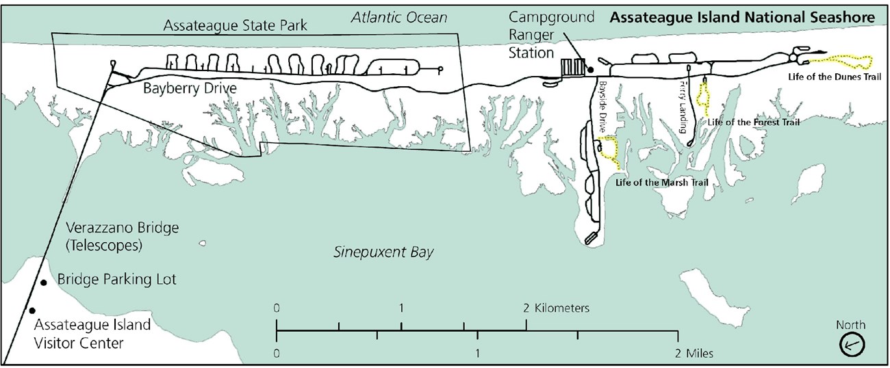Trail map for the Maryland District of Assateague Island National Seashore