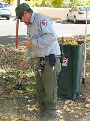 Park employee raking leaves Park employee raking leaves