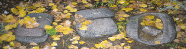 Grinding stones along the trail at Aztec Ruins