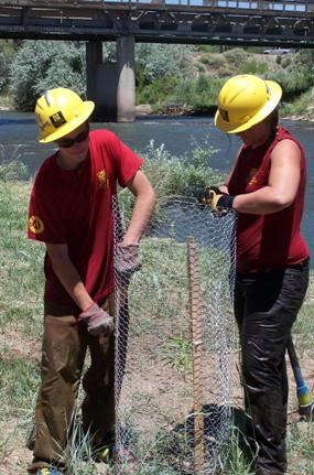 Trevor Richardson & Samantha Wilson working on fencing around newly plated tree.