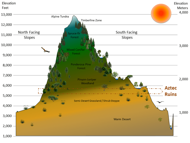 A diagram of ecozones at Aztec Ruins National Monument.