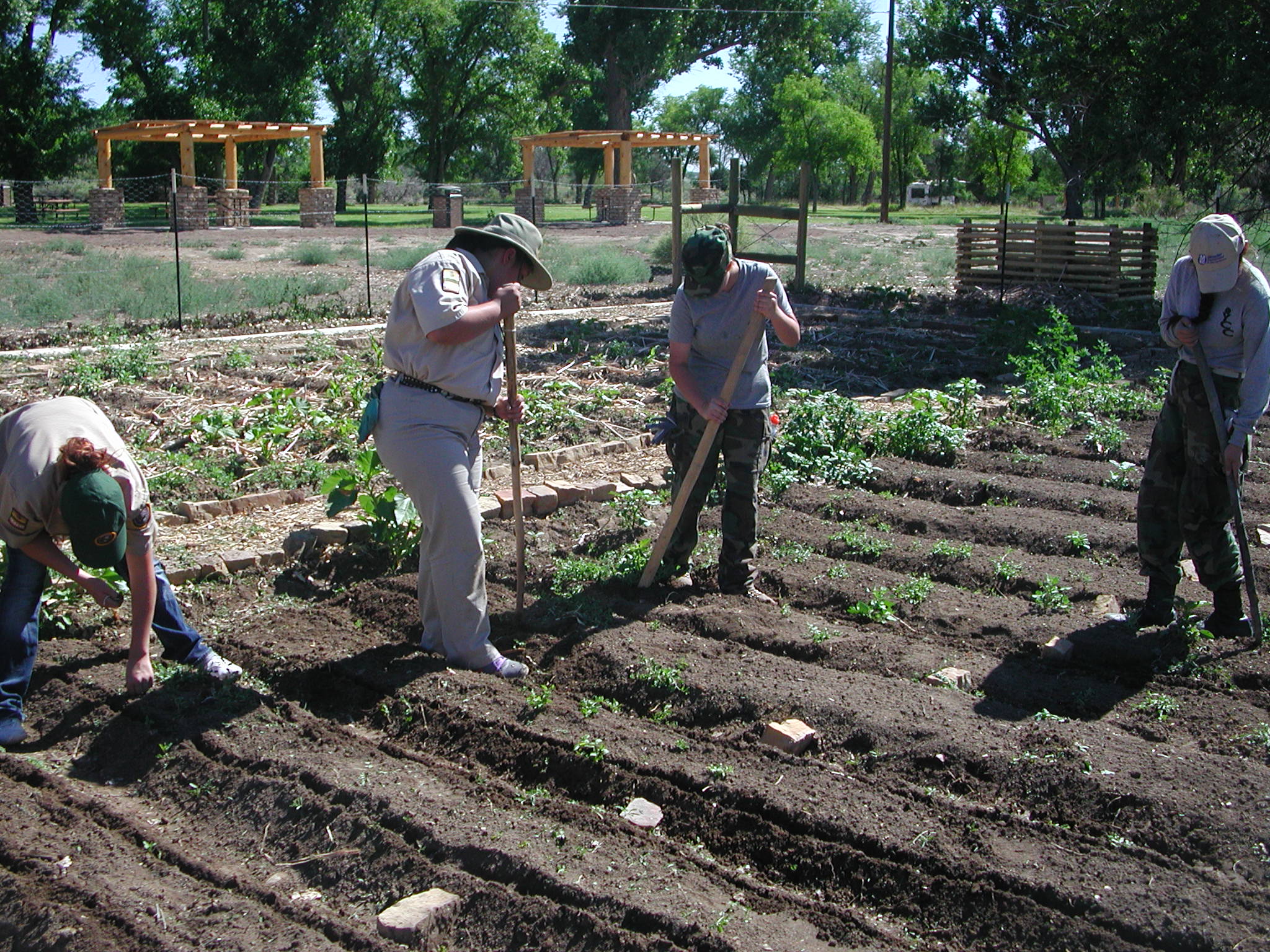 NPS and JROTC interns working in the Heritage Garden.
