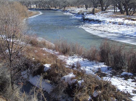 Animas River