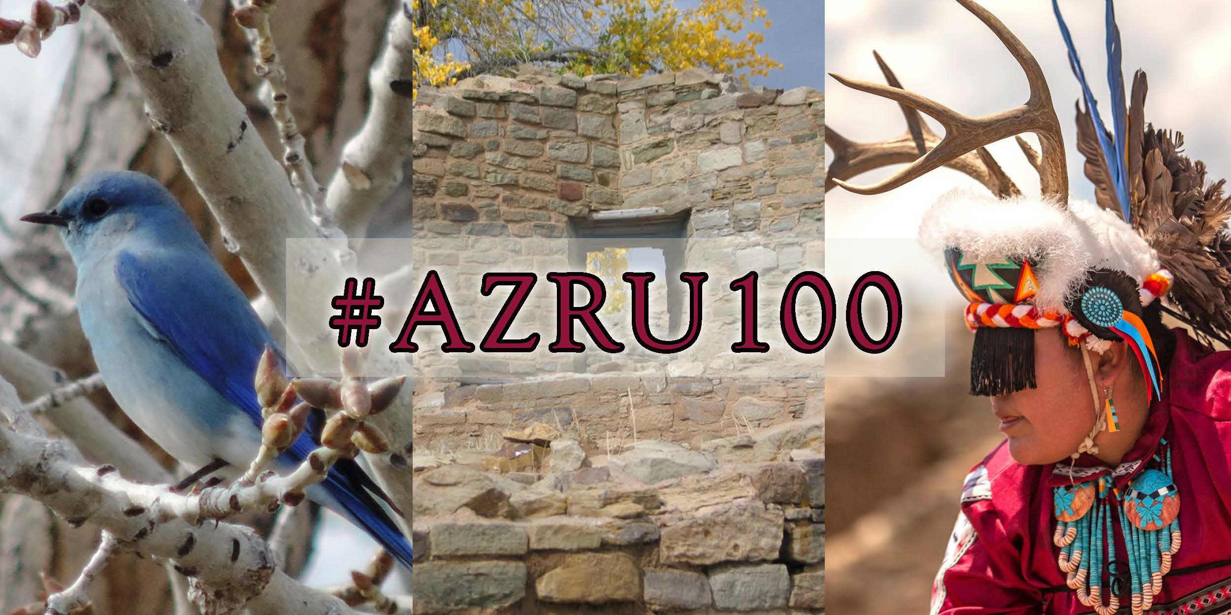 AZRU100 Banner A mountain bluebird, a corner door, and a Pueblo dancer in a collage behind #AZRU100