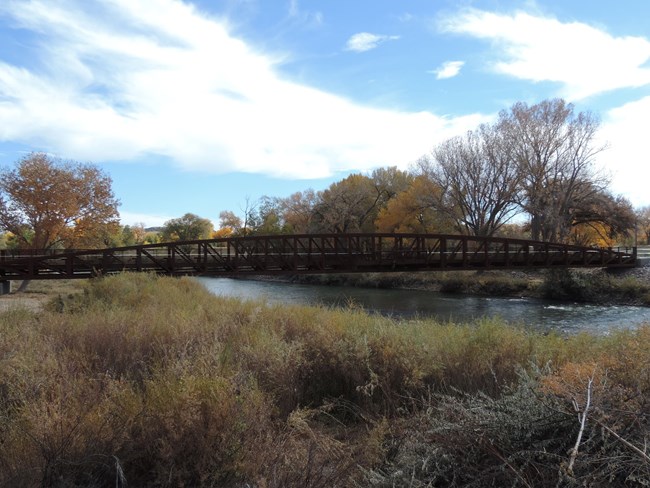 A metal bridge over a flowing river. Shrubs are present in the foreground and the sky is blue above.