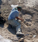 Paleontologist excavating a Badlands fossil