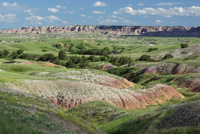landscape001 trees grow along a deep drainage meandering through green prairies with badlands buttes in the distance