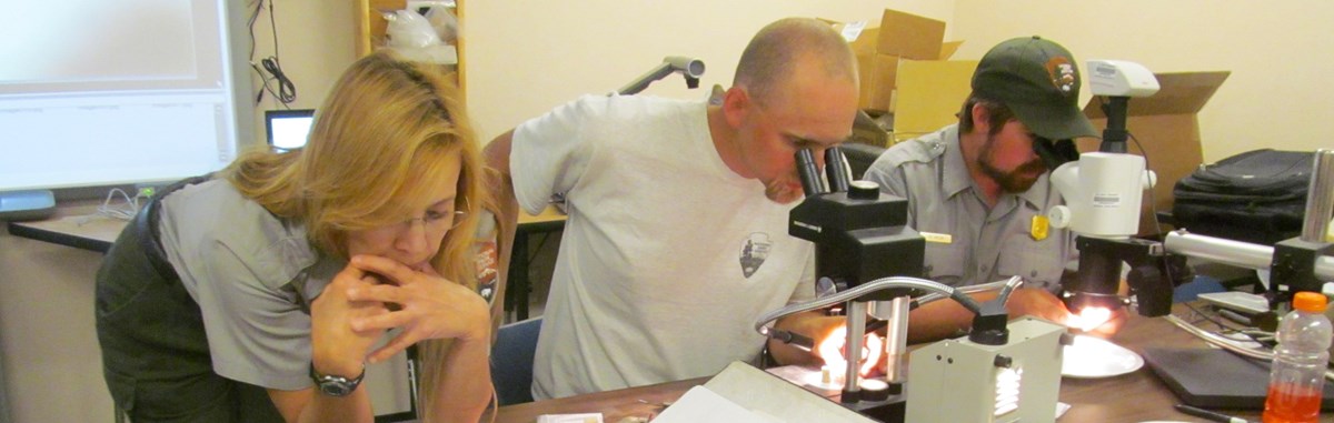 three scientists work together at a table, two look through microscopes and another leans over the table reviewing papers