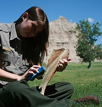 high school intern scrubs bison bone with badlands formations in the background high school intern scrubs bison bone with badlands formations in the background