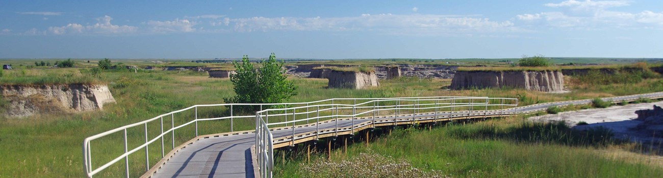 a boardwalk trail disappears into bright green grasses with flat buttes in the background