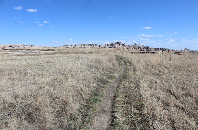 A narrow dirt path winds through dry, golden prairie grass toward rugged, layered rock formations under a bright blue sky with scattered clouds along the Medicine Root Trail.