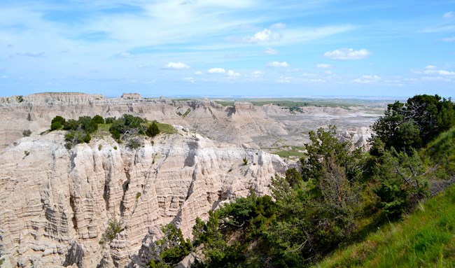 a grove of junipers lead down into badlands formations which continue into the horizon